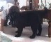 Chloe's VideoGram
