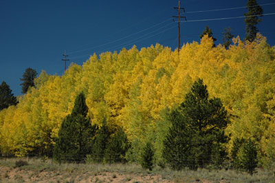 Near Kenosha Pass - September 2006