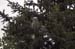 2006052211 copy