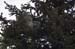 2006052219 copy
