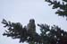 2006052229 copy