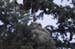 2006052247 copy