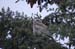 2006052253 copy