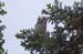 2006052623 copy