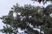 2006052627 copy
