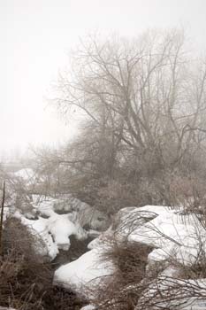 _DSC0154