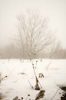_DSC0169
