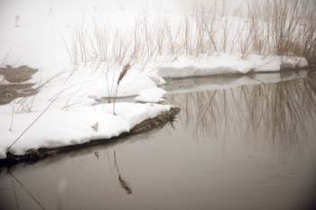 _DSC0177
