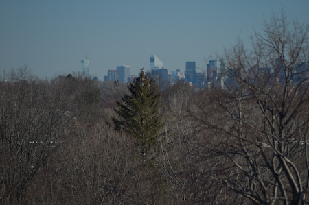 _DSC0035