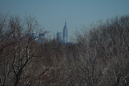 _DSC0025